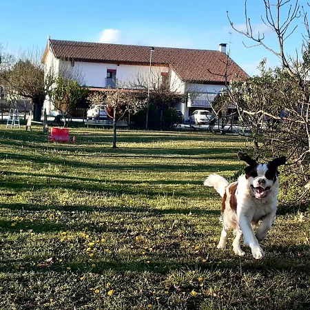 Il Podere Con San Bernardo, Alpaca E Pentola Di Cose Da Scoprire Farm stay Vedelago (Treviso)