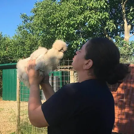 Il Podere Con San Bernardo, Alpaca E Pentola Di Cose Da Scoprire Farm stay