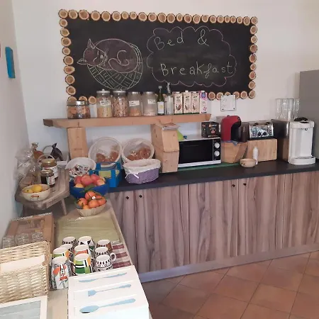 Farm stay Il Podere Con San Bernardo, Alpaca E Pentola Di Cose Da Scoprire *