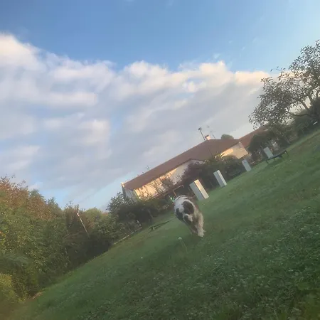 Il Podere Con San Bernardo, Alpaca E Pentola Di Cose Da Scoprire Vedelago (Treviso)
