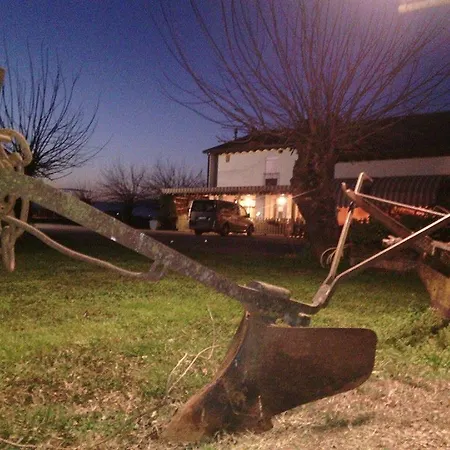 Farm stay Il Podere Con San Bernardo, Alpaca E Pentola Di Cose Da Scoprire