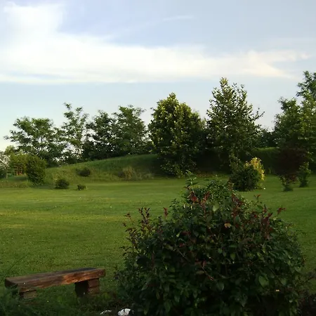 Il Podere Con San Bernardo, Alpaca E Pentola Di Cose Da Scoprire