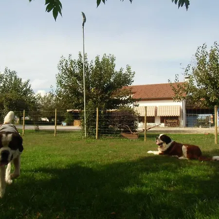 Il Podere Con San Bernardo, Alpaca E Pentola Di Cose Da Scoprire *
