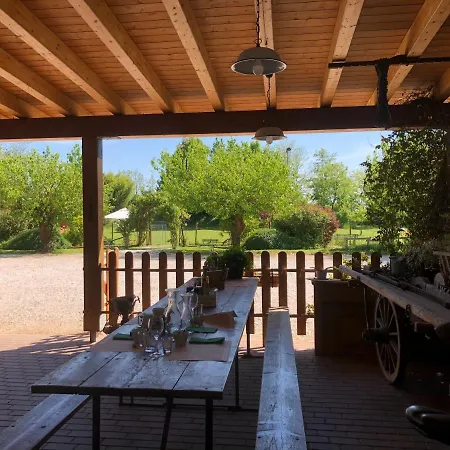 Il Podere Vedelago Con San Bernardo, Alpaca E Pentola Di Cose Da Scoprire