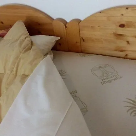 Il Podere Con San Bernardo, Alpaca E Pentola Di Cose Da Scoprire * Vedelago