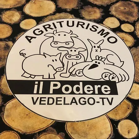 Alloggio per agriturismo Il Podere Vedelago Con San Bernardo, Alpaca E Pentola Di Cose Da Scoprire Vedelago (Treviso)