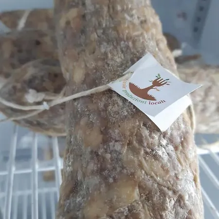 Il Podere Con San Bernardo, Alpaca E Pentola Di Cose Da Scoprire Vedelago