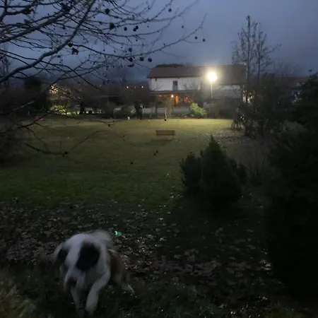 Il Podere Vedelago Con San Bernardo, Alpaca E Pentola Di Cose Da Scoprire Alloggio per agriturismo Vedelago (Treviso)
