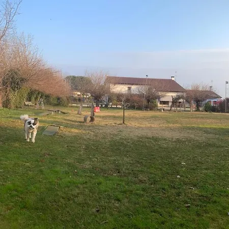 Bauernhof Il Podere Con San Bernardo, Alpaca E Pentola Di Cose Da Scoprire