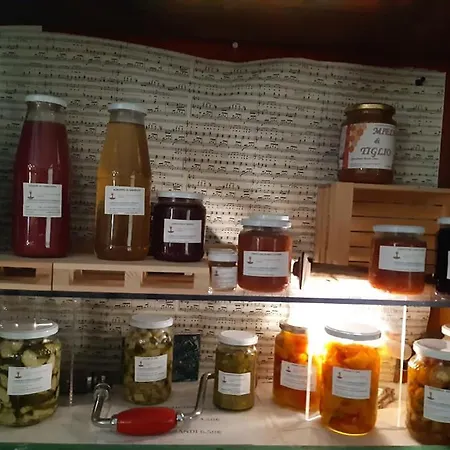 Il Podere Con San Bernardo, Alpaca E Pentola Di Cose Da Scoprire Vedelago