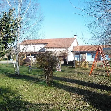 Il Podere Vedelago Con San Bernardo, Alpaca E Pentola Di Cose Da Scoprire Vedelago (Treviso)