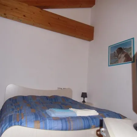Il Podere Con San Bernardo, Alpaca E Pentola Di Cose Da Scoprire *