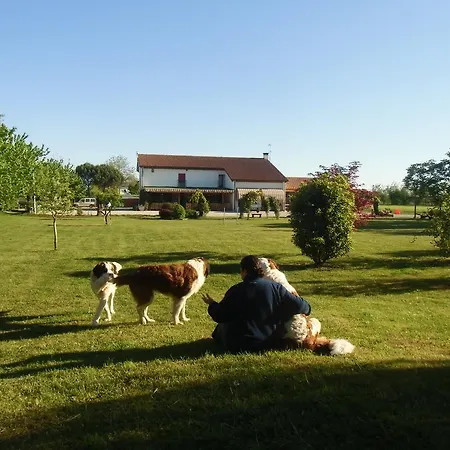 Il Podere Con San Bernardo, Alpaca E Pentola Di Cose Da Scoprire ファームステイ